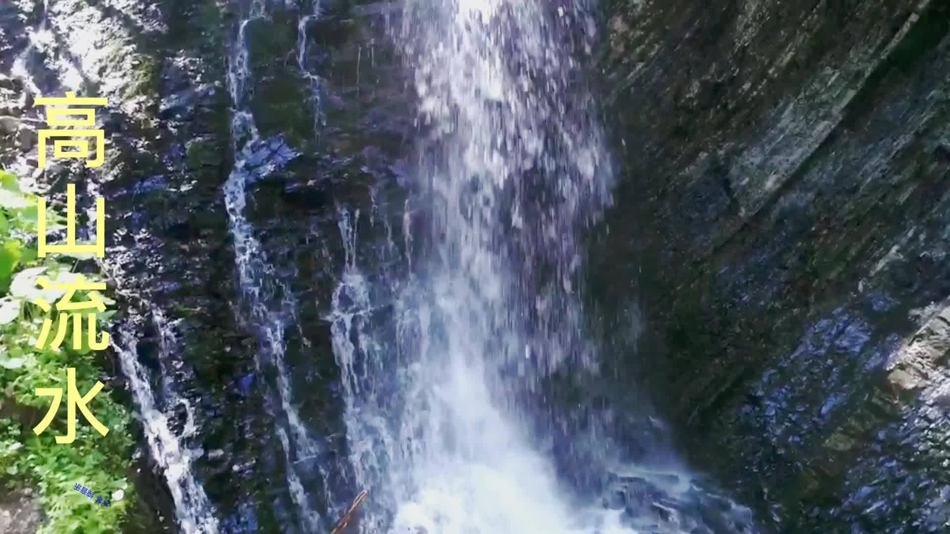 动物帮帮忙保卫家园
